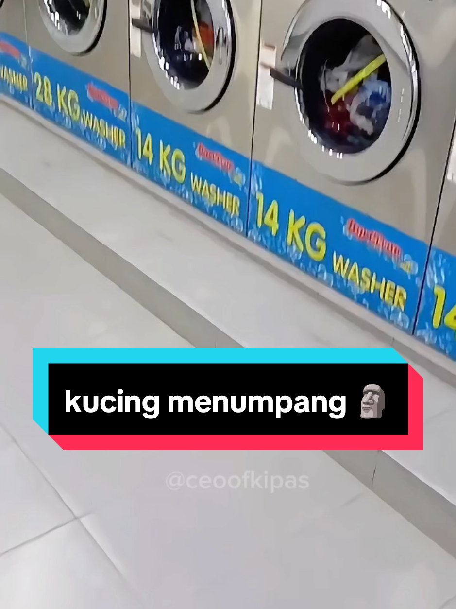 @CEO OF KIPAS (ALIFF)