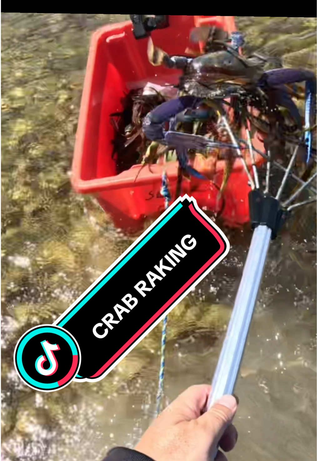 @NON-STOP FISHING
