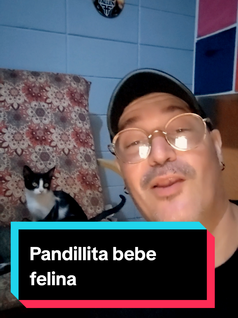 @Patitas y Garritas en la Calle