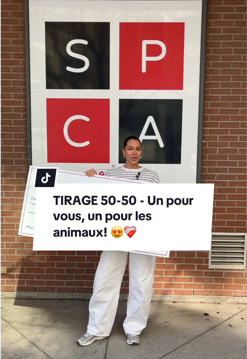 @Montreal SPCA