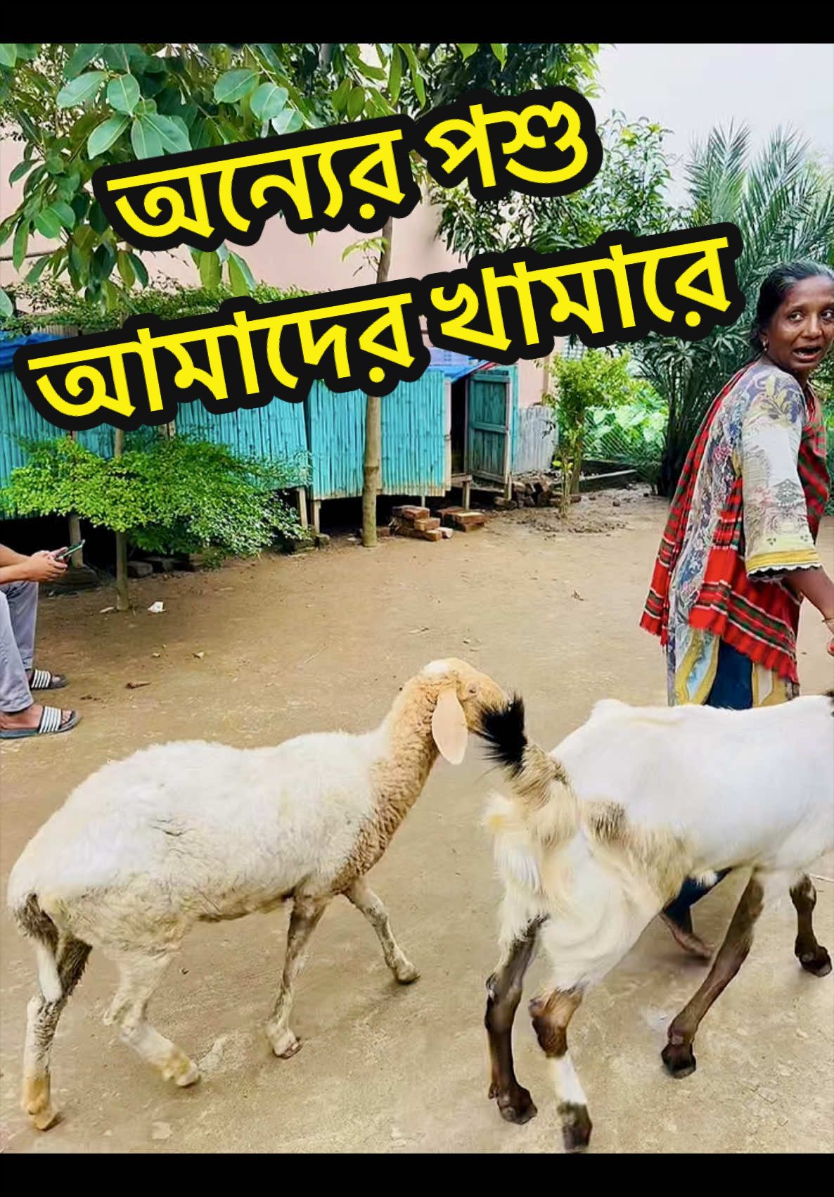 @Aqib Asif Trading (Ovi)