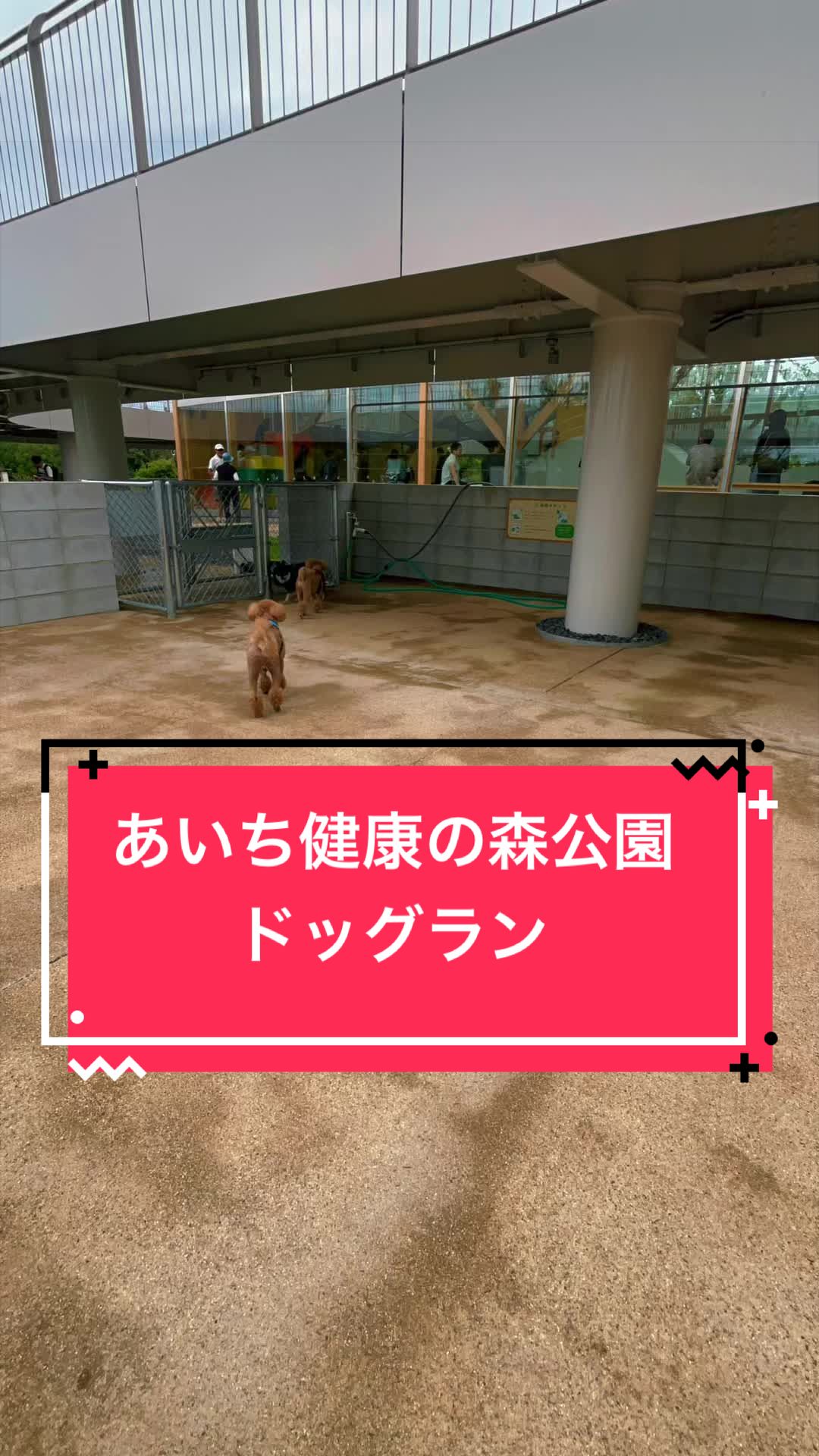 @カンキツ