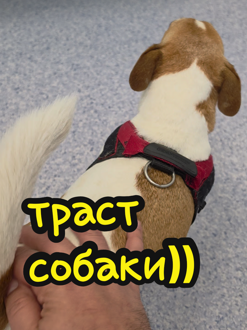@Остеопатія Київ