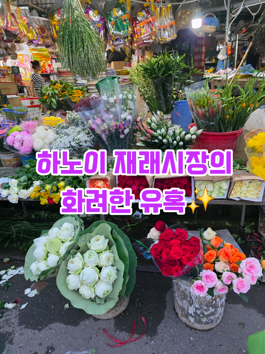 @🍇체리cherry🍒🇻🇳