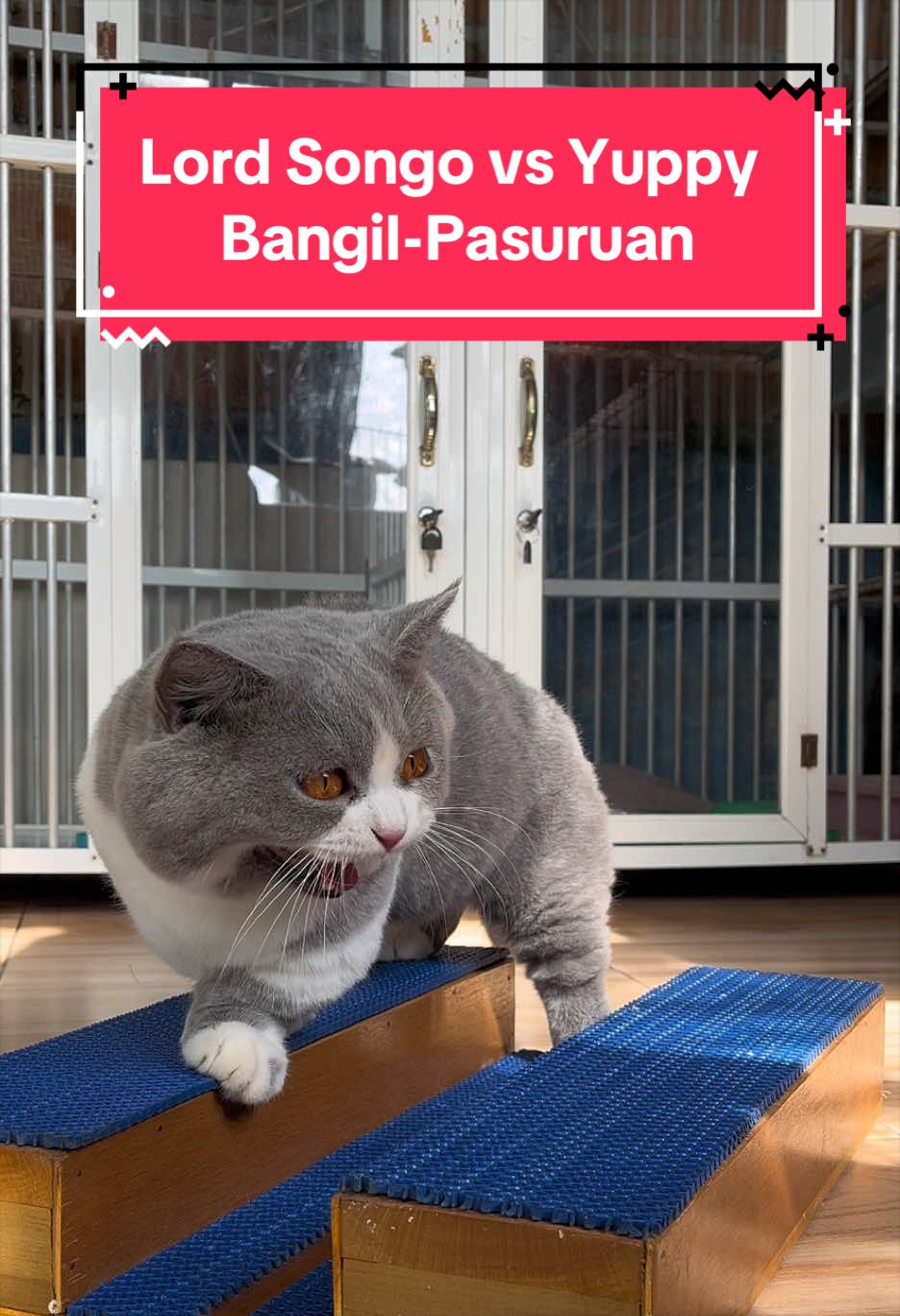 @Jasa Pacak BSH