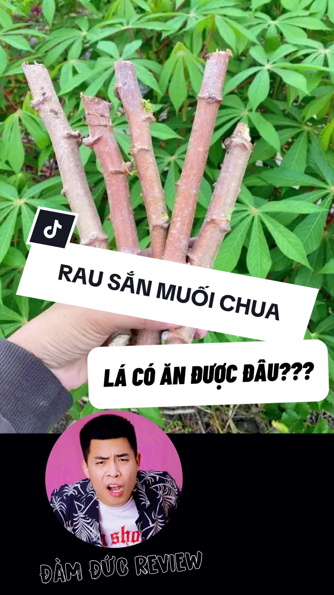 @DamDuc
