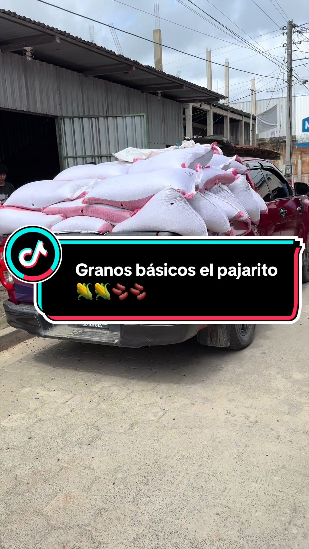 @Granos b&aacute;sicos &eacute;l pajarito 🌽