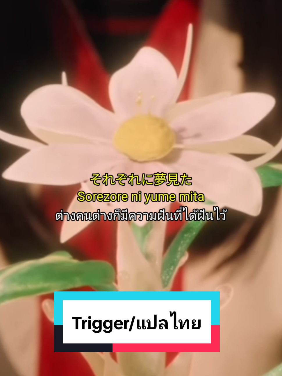 @Tokushin2