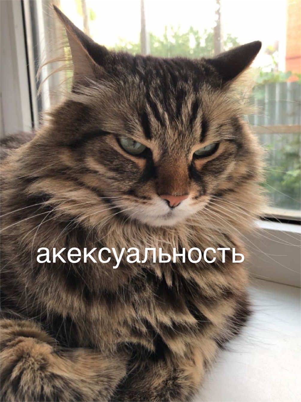 @мамин хep