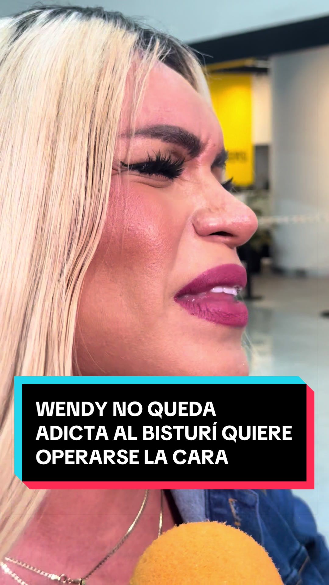 @LAMISCELANEADELCHISME