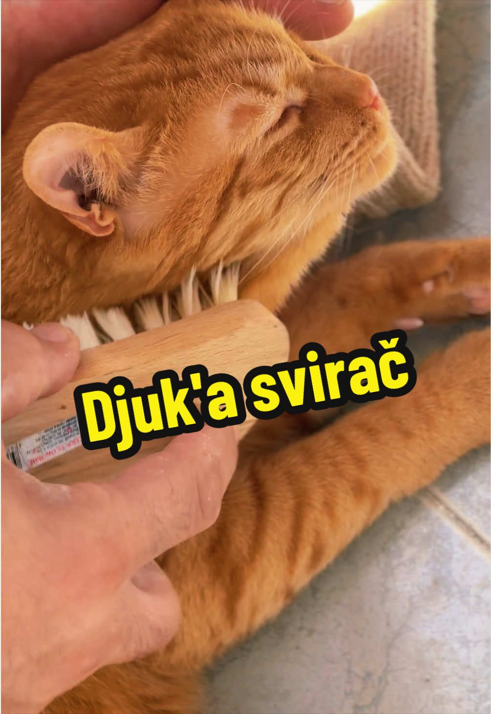 @cosanostrapurr