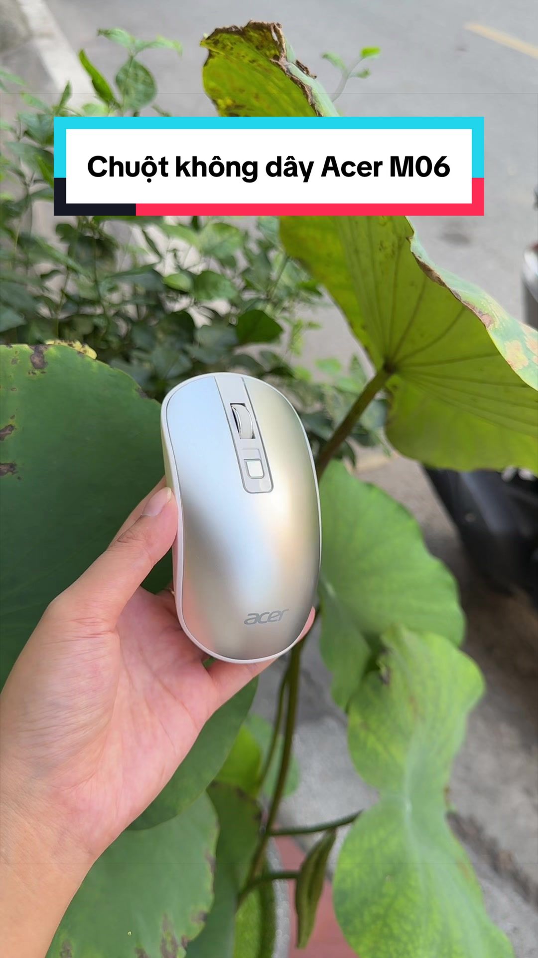 @Tuấn Bình Thường