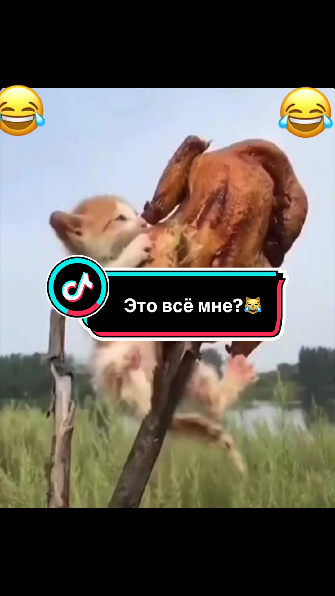 @Саня Пагон &clubs;️