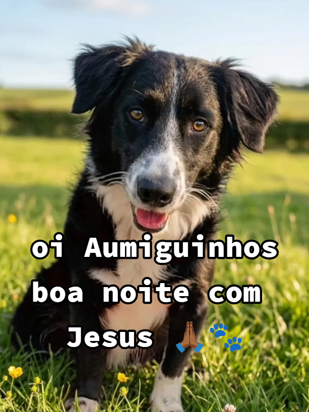 @Meirinha Teles