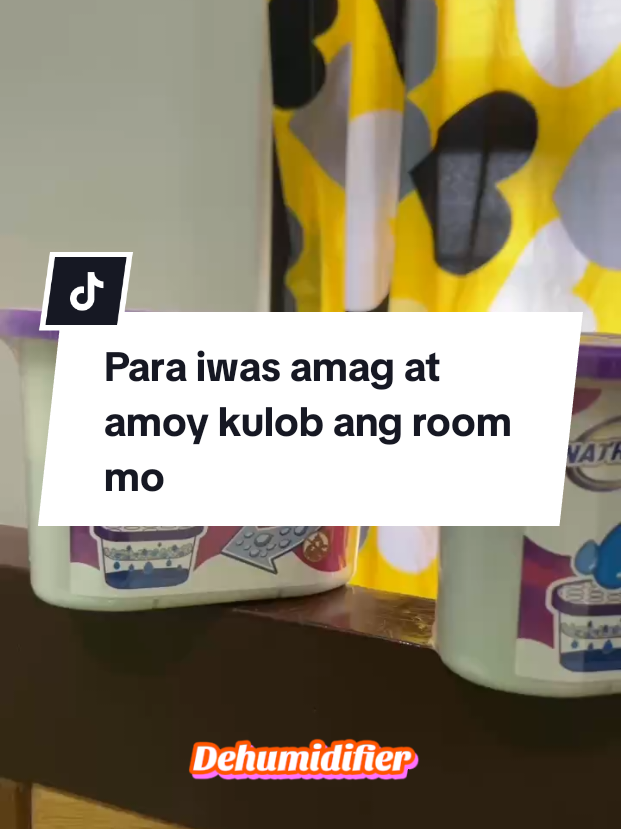 @inday alicia