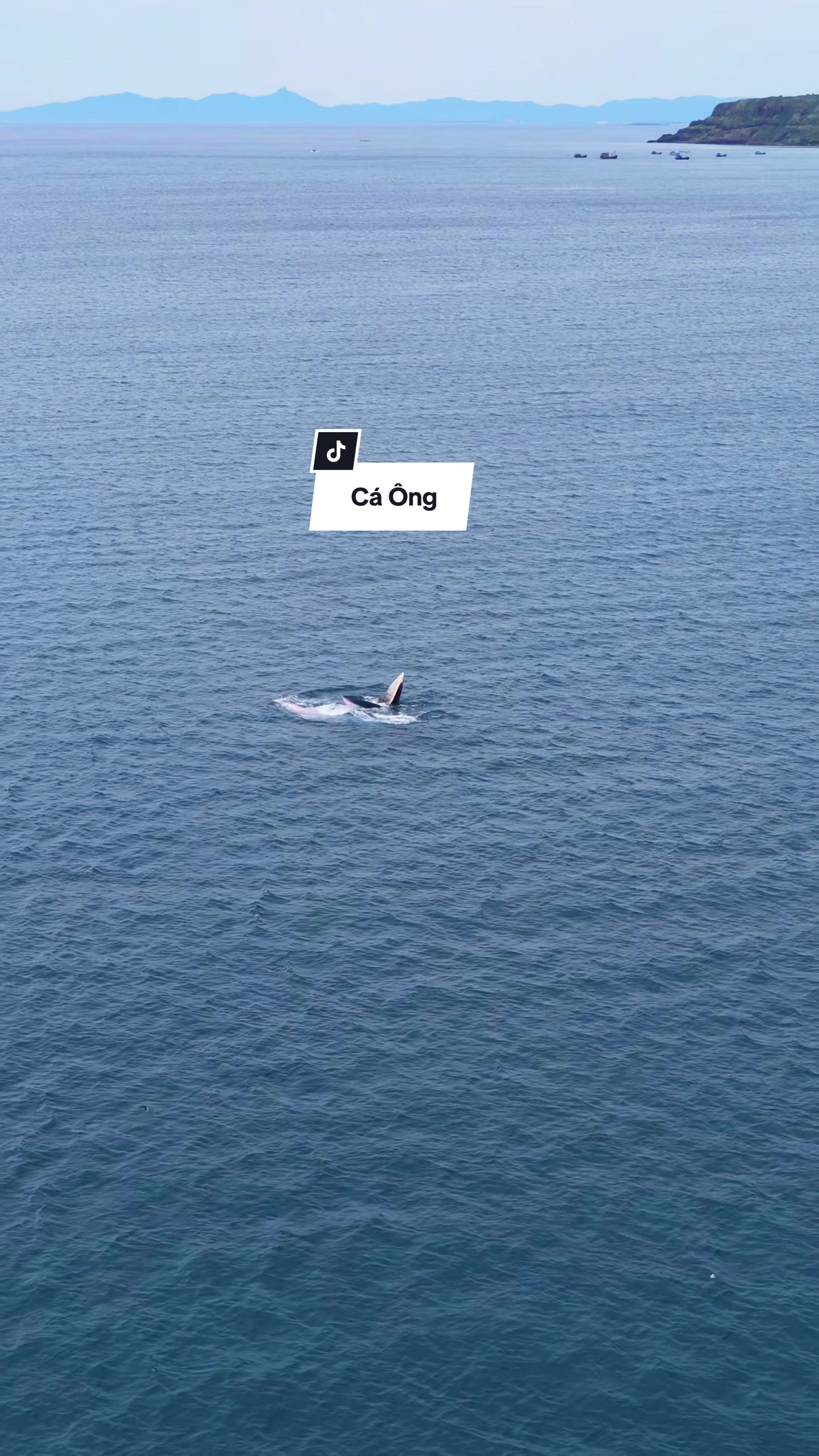 @Tuấn th&iacute;ch bay
