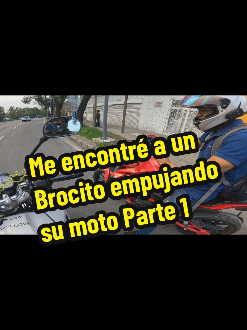 @MexayFlow /Team Blaise MX🇲🇽