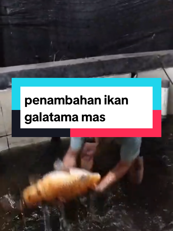@Berkah FS