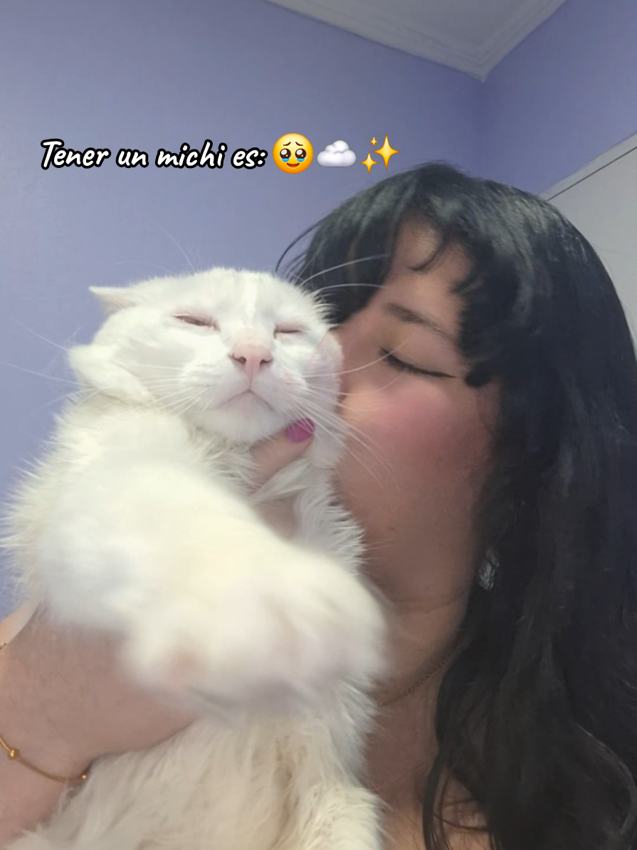 @MichiLovers&reg;