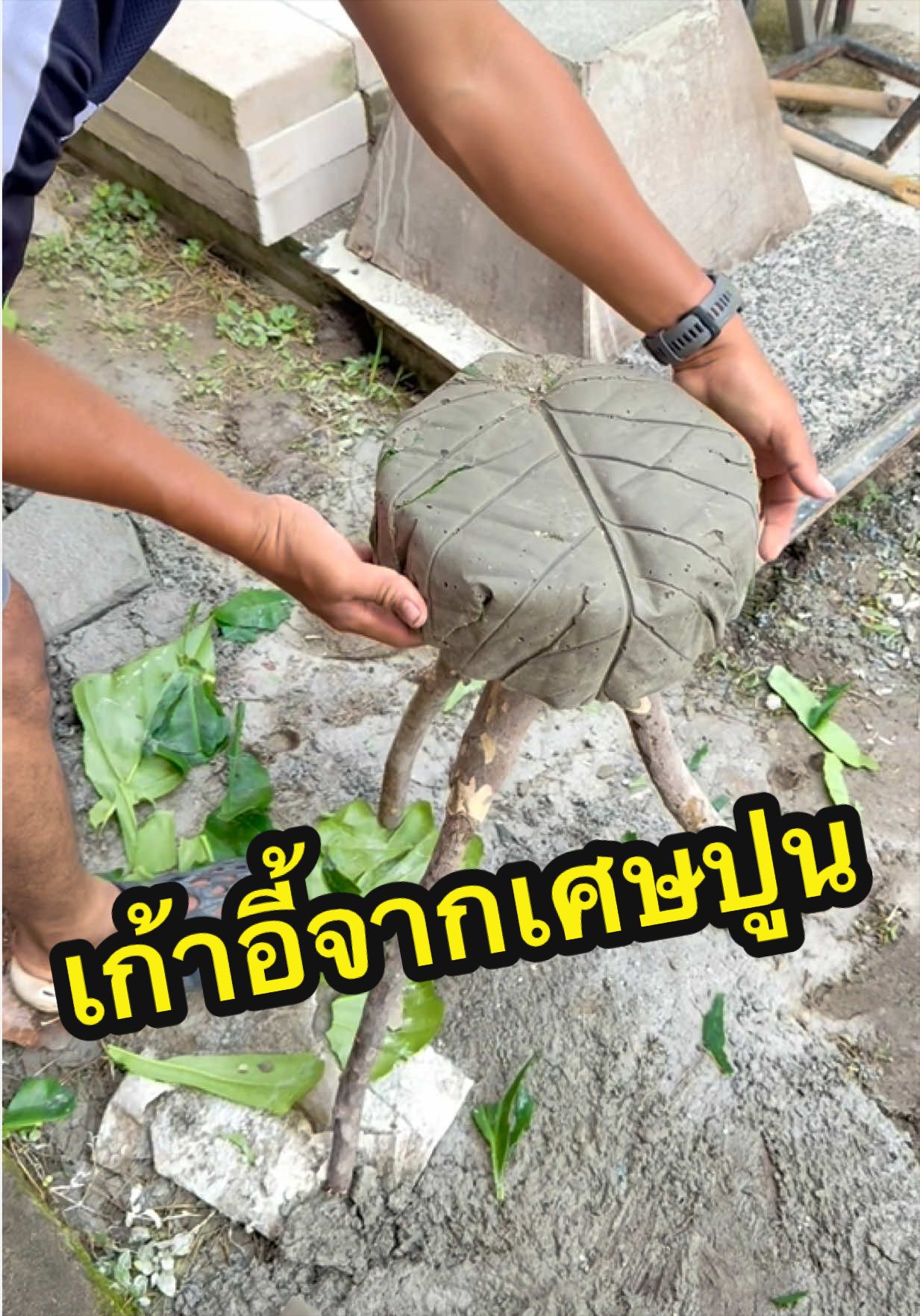 @อ้น บ้านทองกวาว