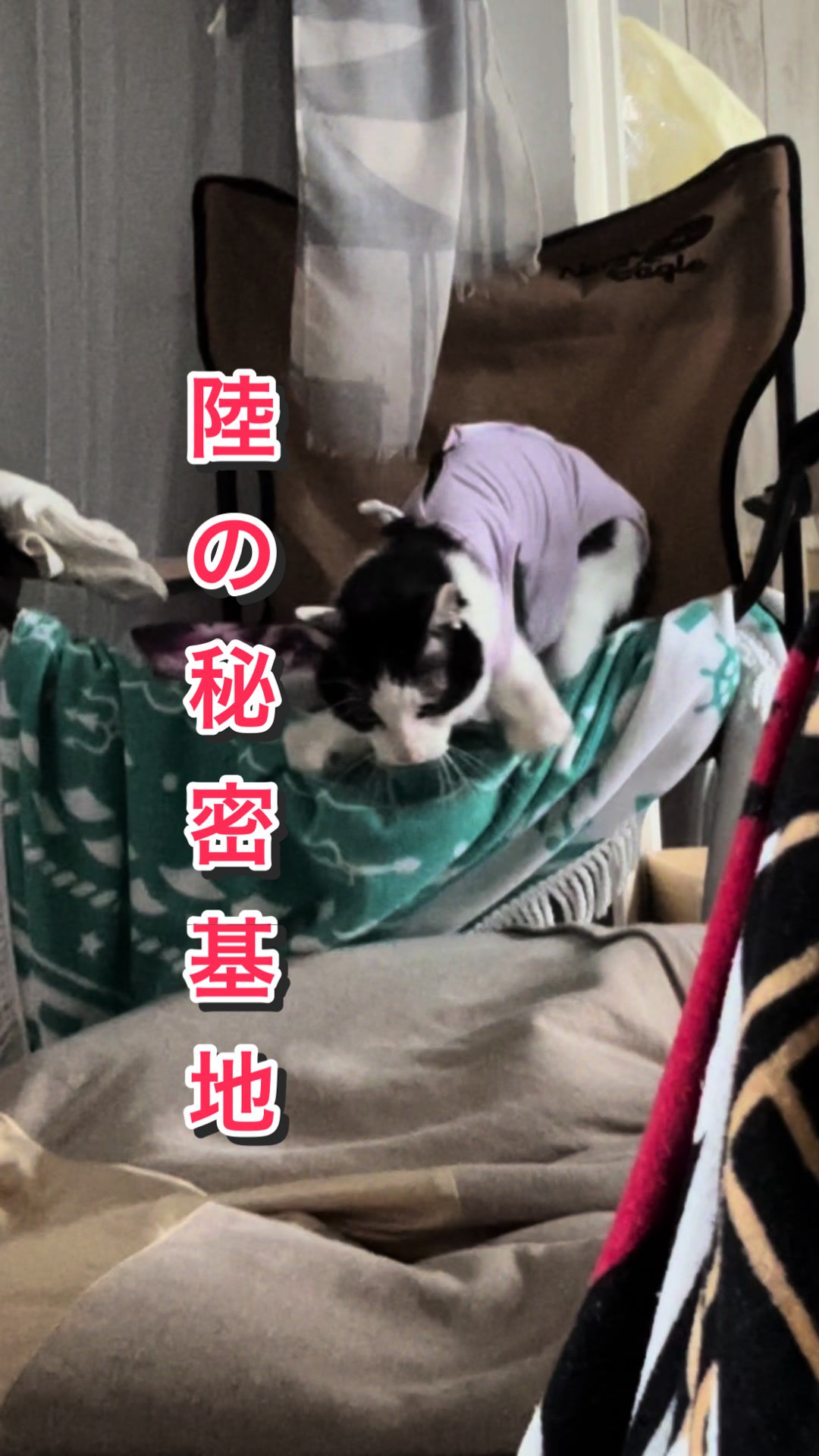 @陸丸 Rikumaru