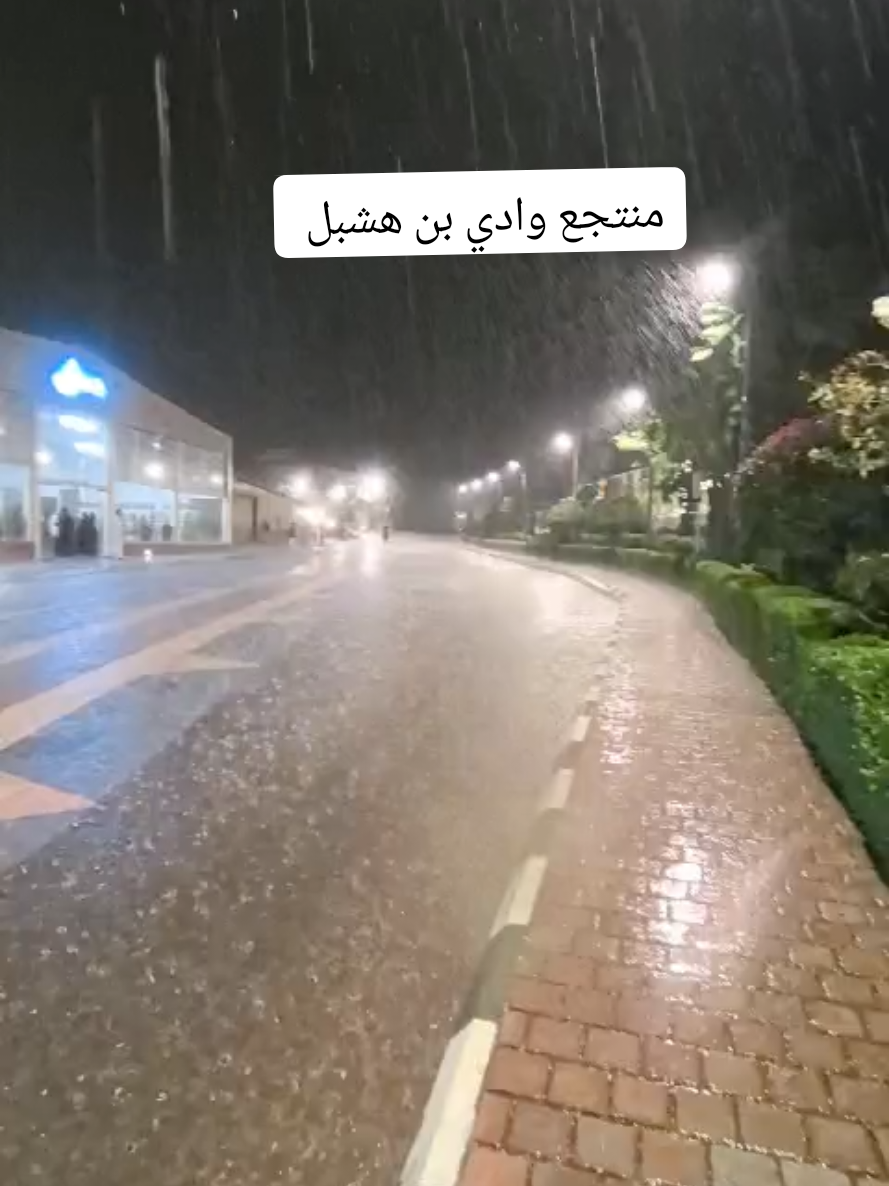 @مندوب ابها