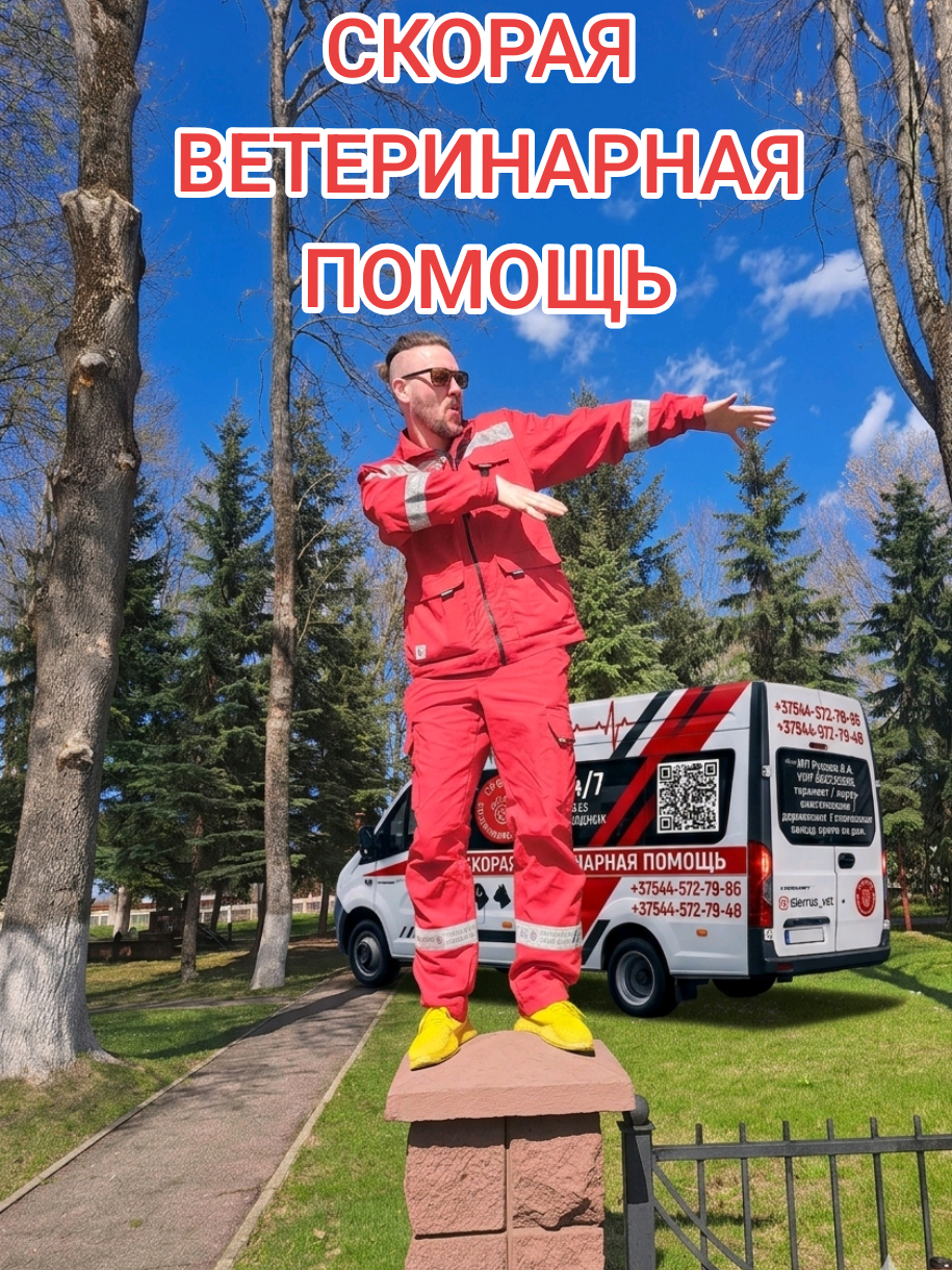 @slavrus_vet