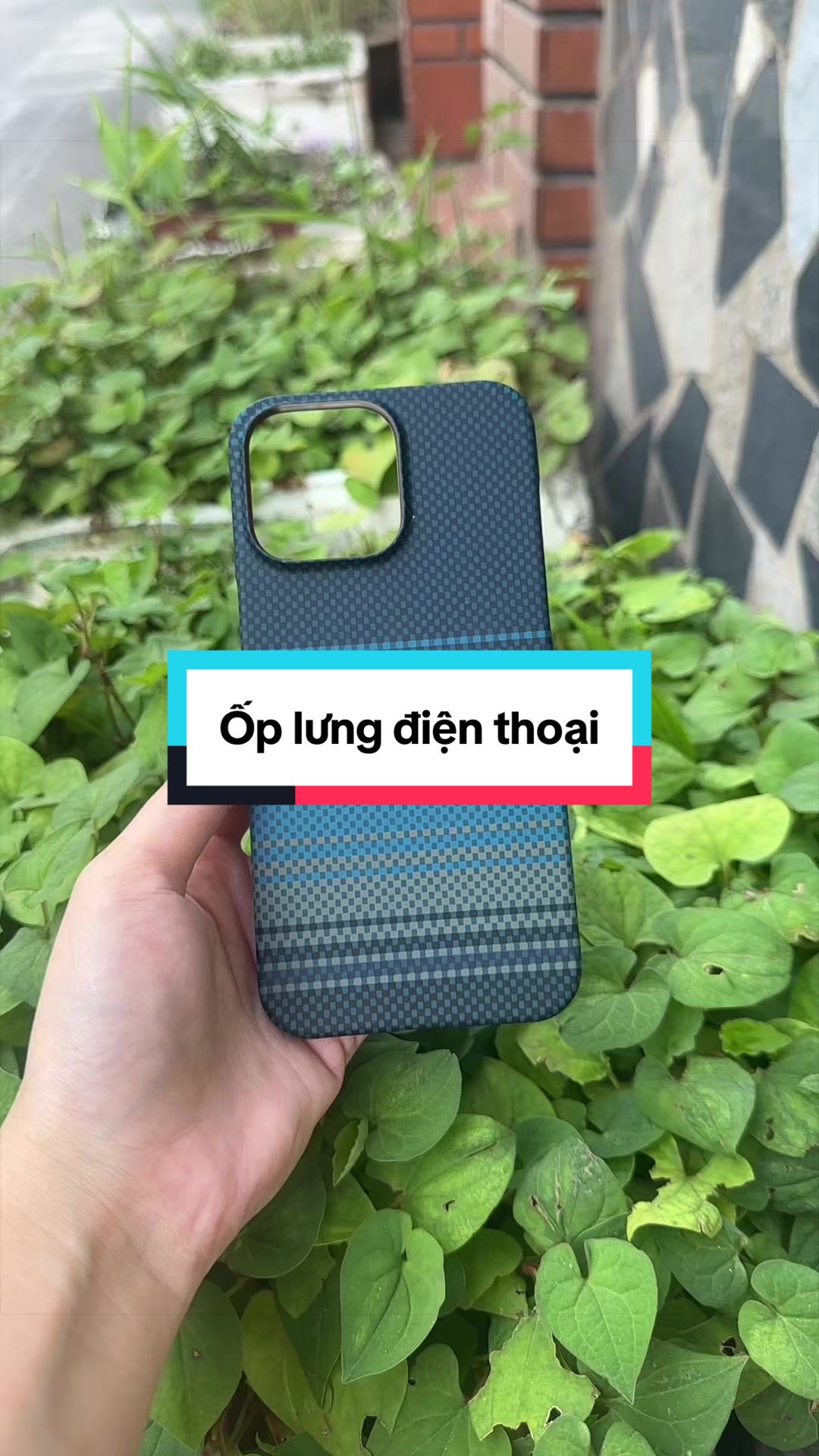 @Tuấn B&igrave;nh Thường