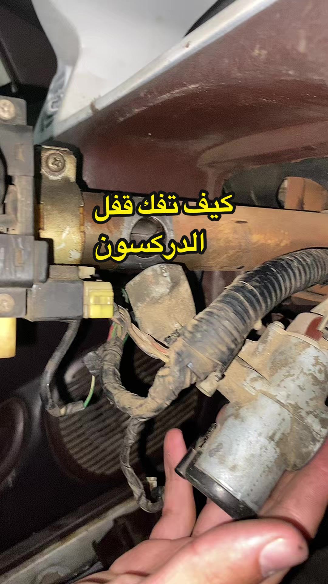 @LD🛠️
