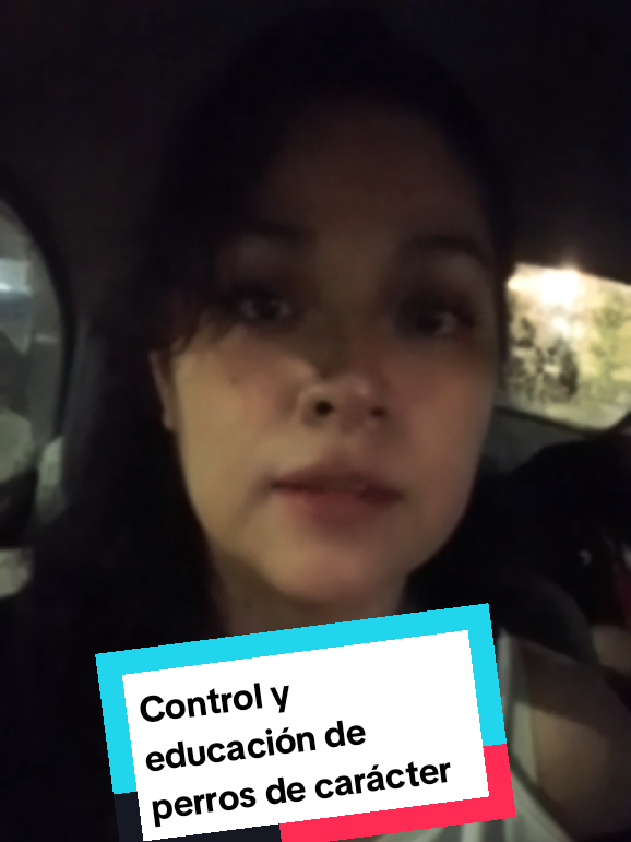 @Camino Hacia la Verdad