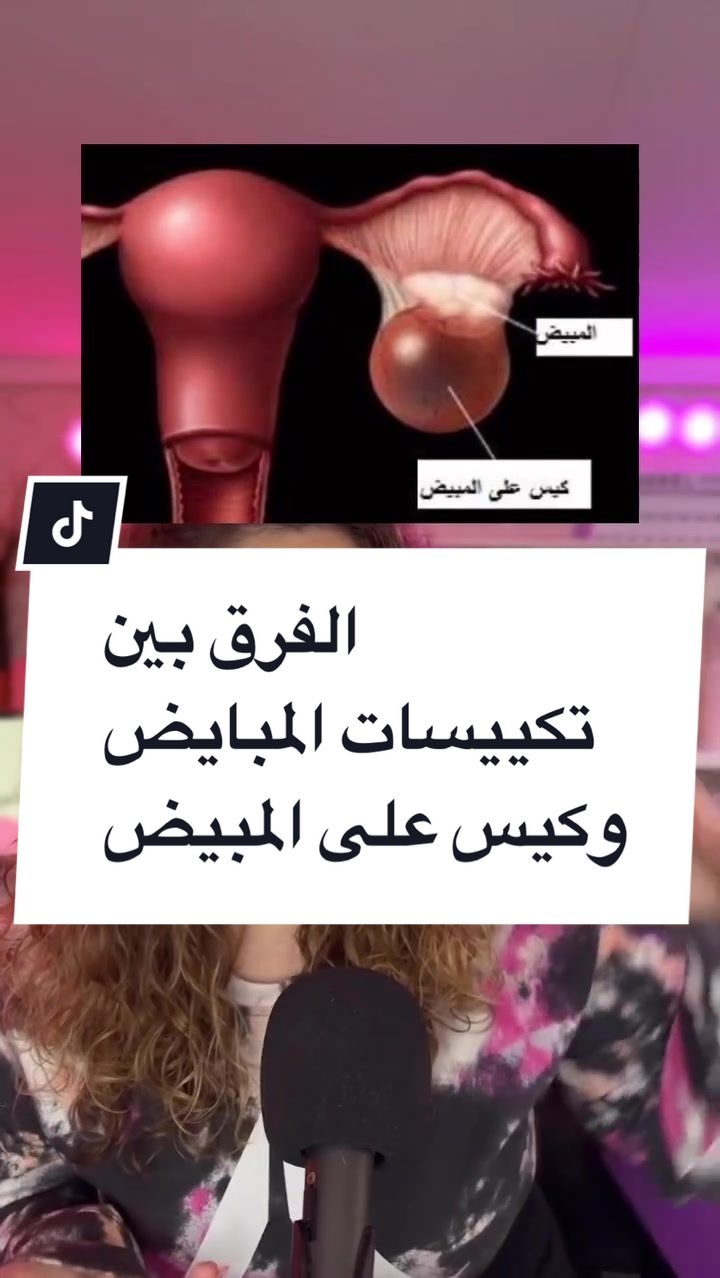@Nour Eljabi