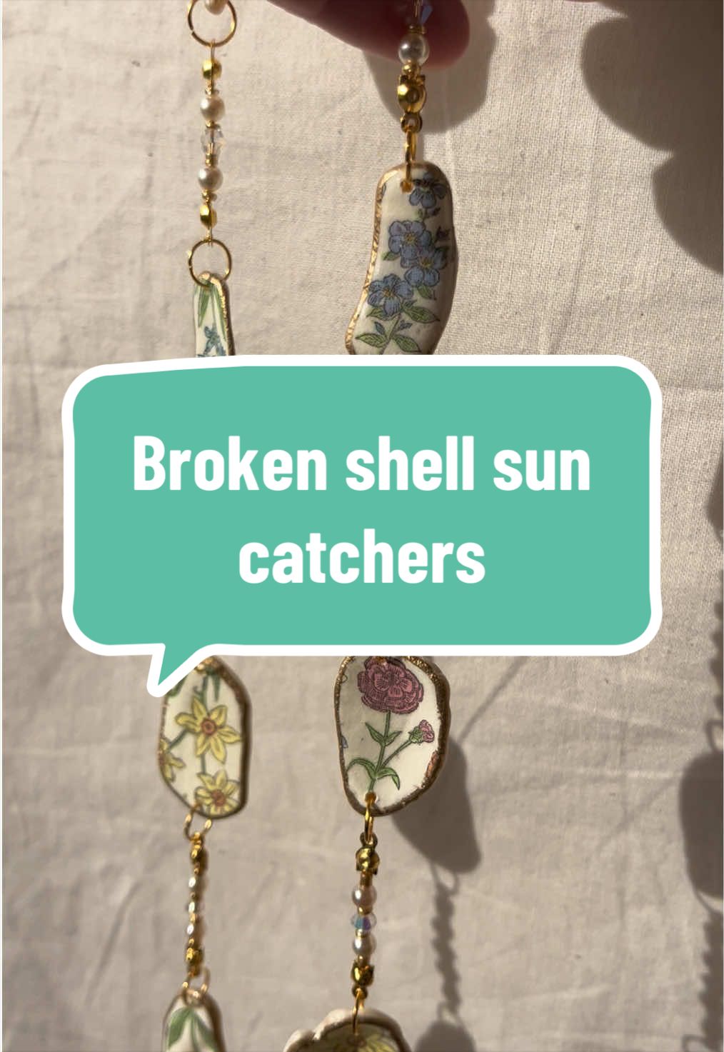 @Dusty J Designs | Shells
