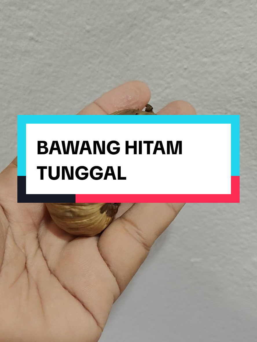 @simataduitan21