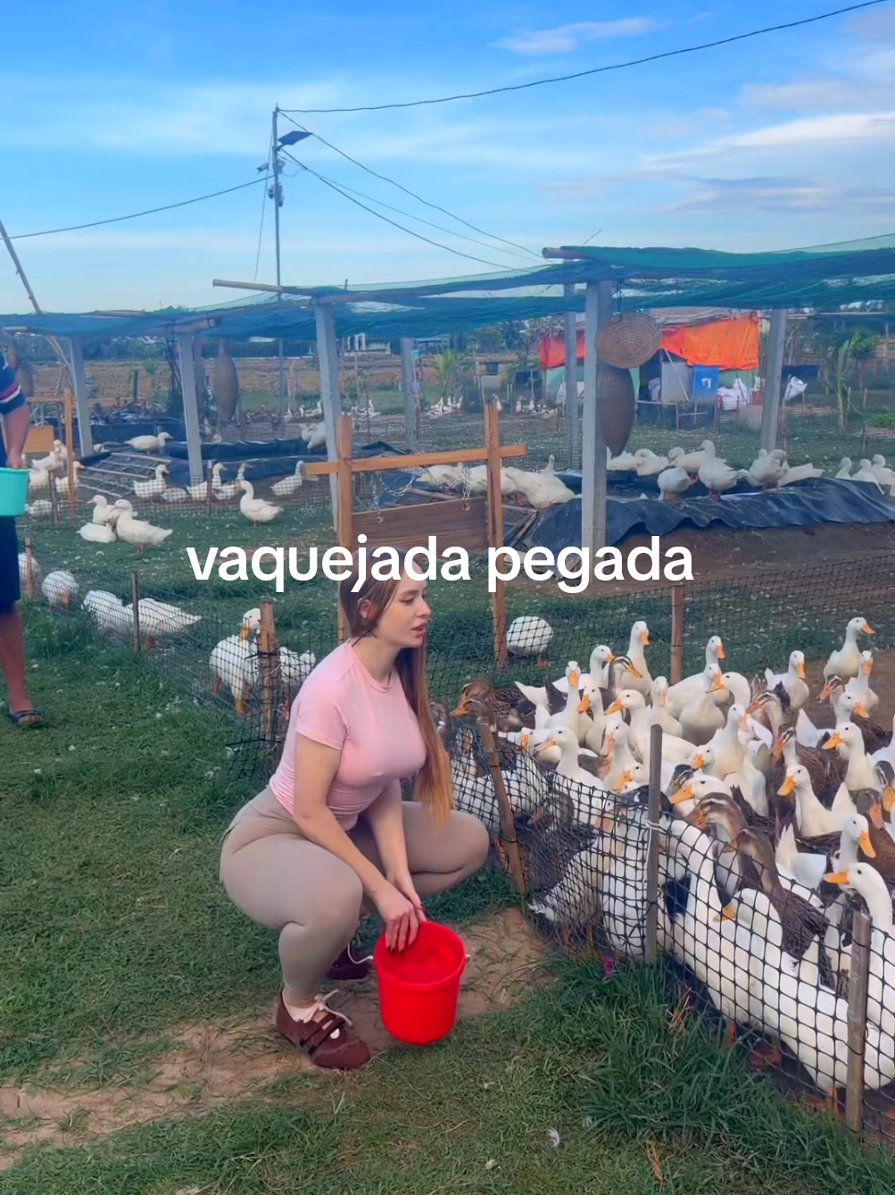 @vaquejada pegada