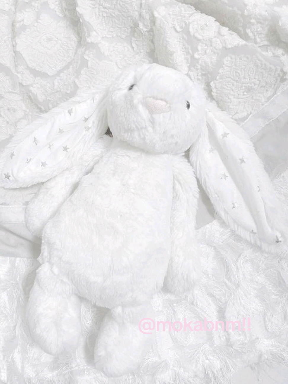 @ִֶָ𓂃 ࣪ ִֶָ🦢་༘࿐