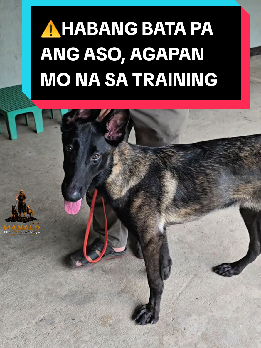 @Doc Abel Manalo Official