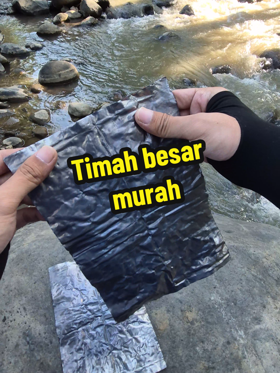 @Mr. Angler
