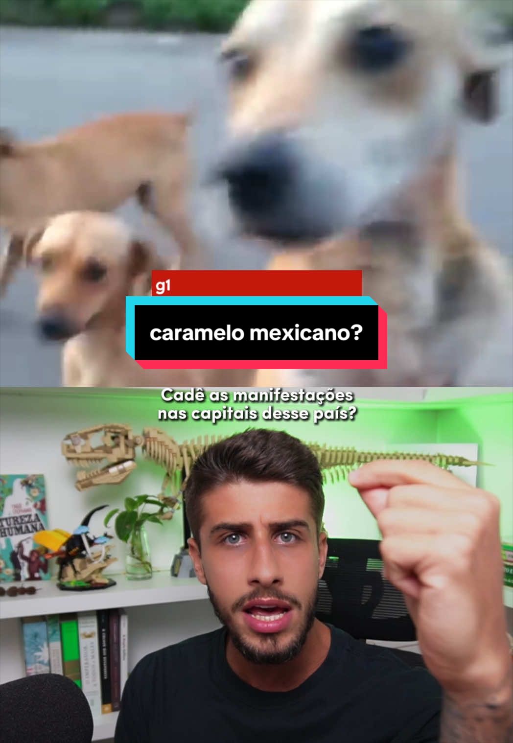 @Yago Stephano