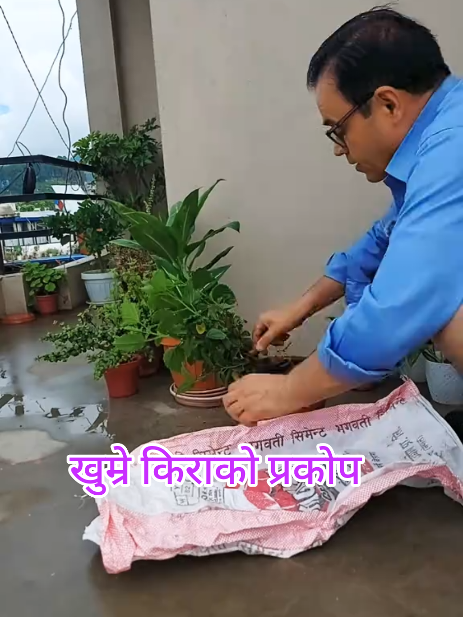 @Laxmi Raj Dahal