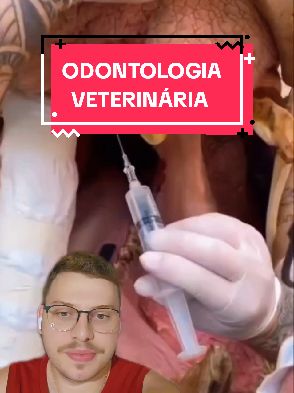 @Odont&oacute;logo