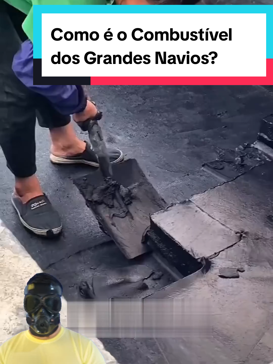 @Mundo da Curiosidades