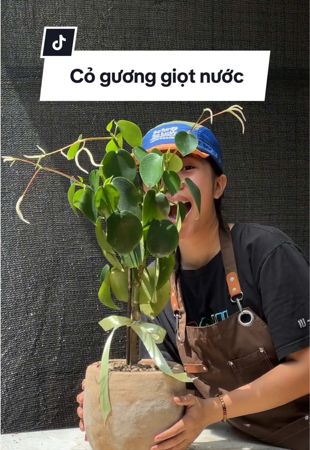 @Vuoncuakien