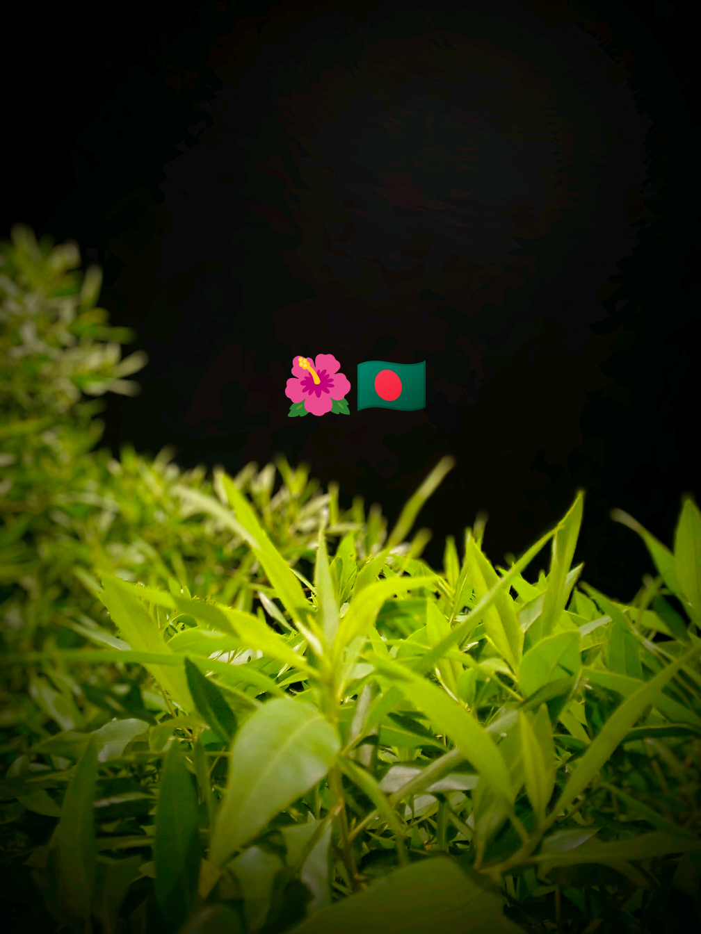 @আধারী