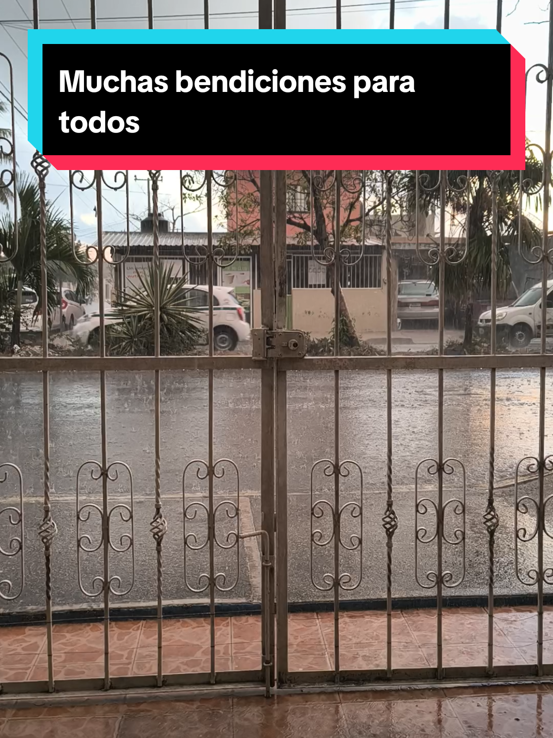 @Jesus sanchez Jarocho