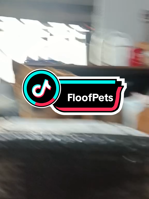 @Eve
