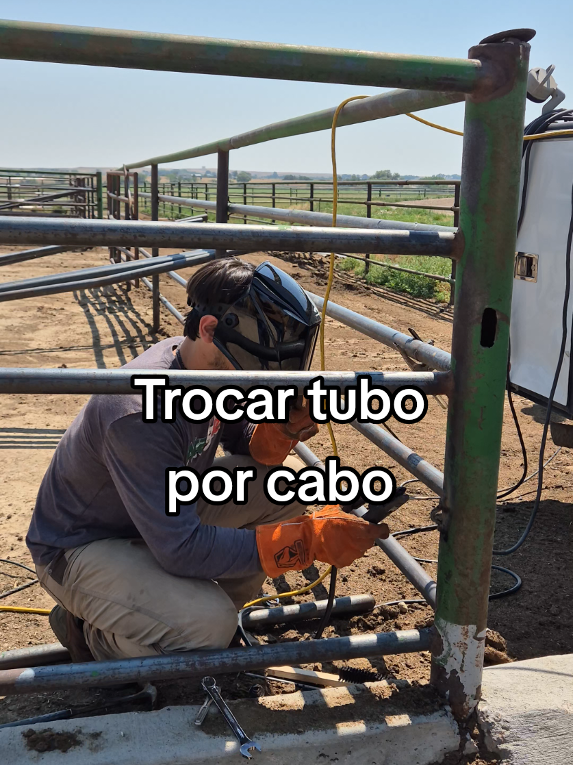 @Olavo Franco Bottino