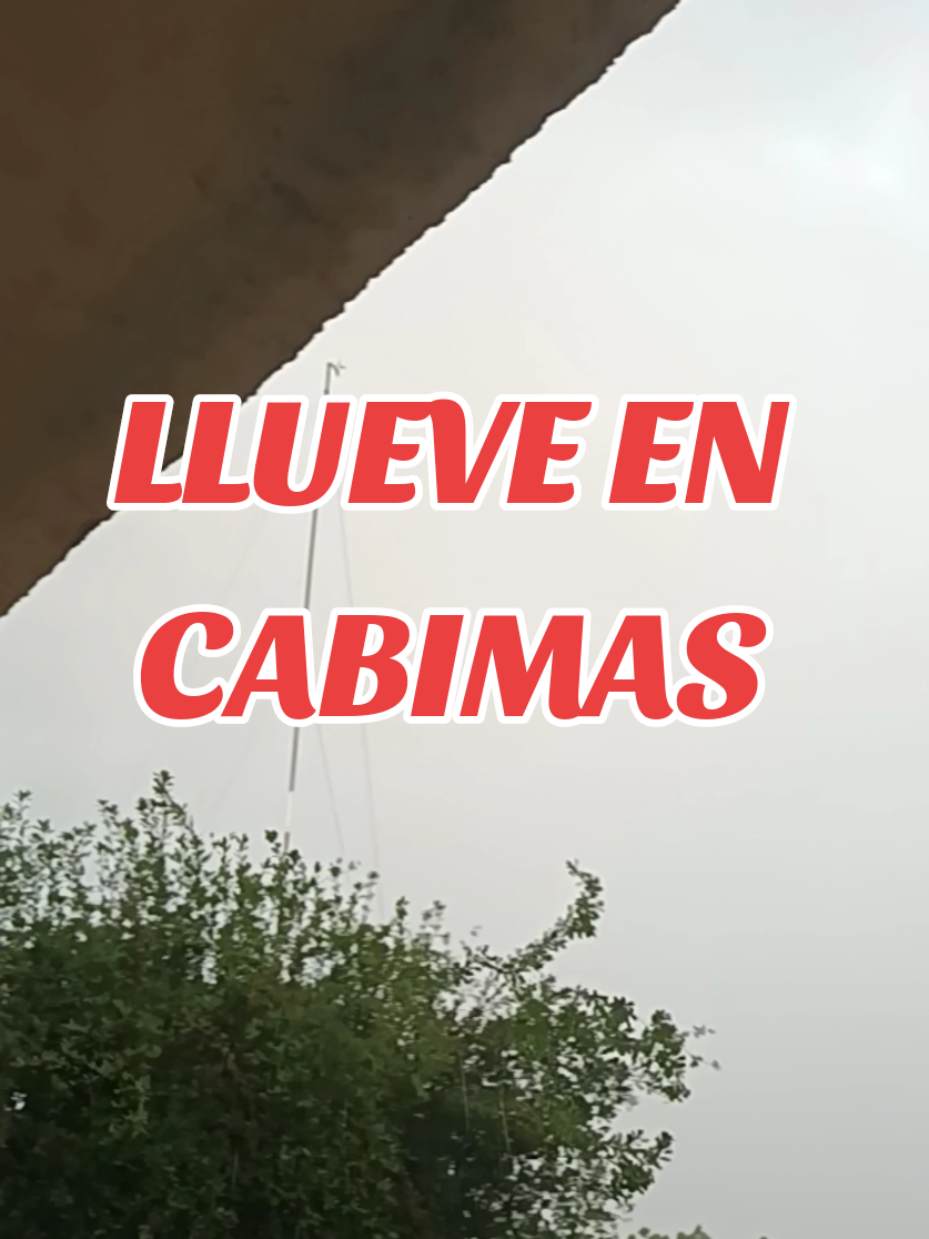 @MIMUNDO1981