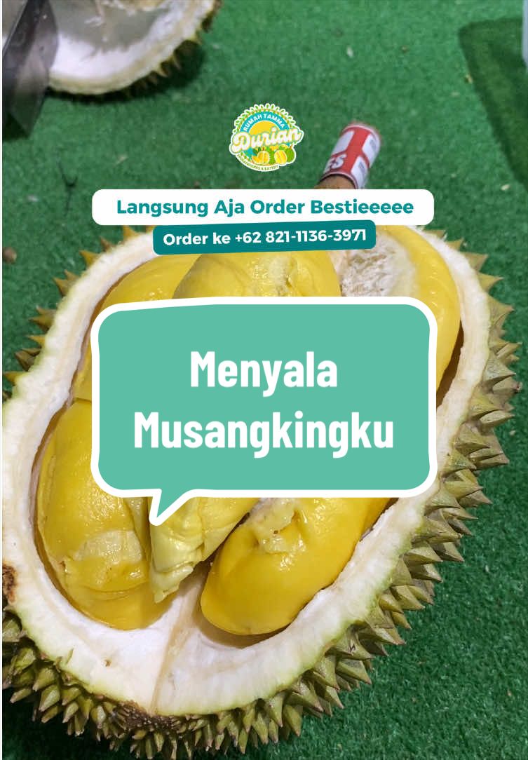 @Rumah Tamma Durian