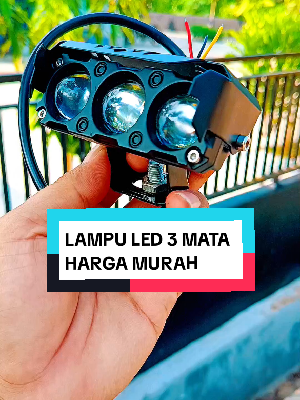 @yunfa lovers