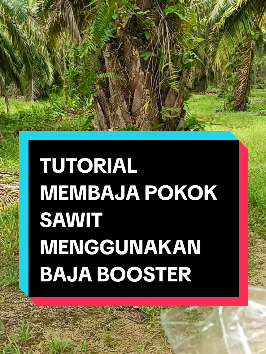 @𝙿𝚊𝚔𝙽𝚐𝚊𝚑 𝙼𝚊lik